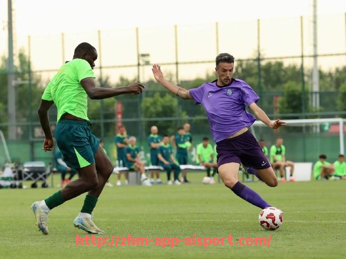 爱体育app-世俱杯场边广告投放规则及商业价值最大化策略