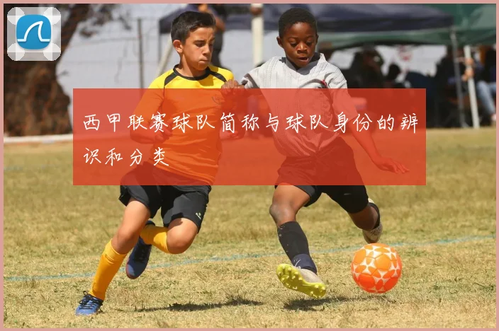 西甲联赛球队简称与球队身份的辨识和分类
